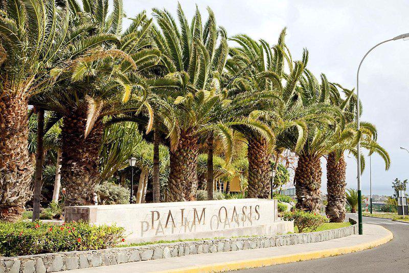Palm Oasis - Afbeelding 3
