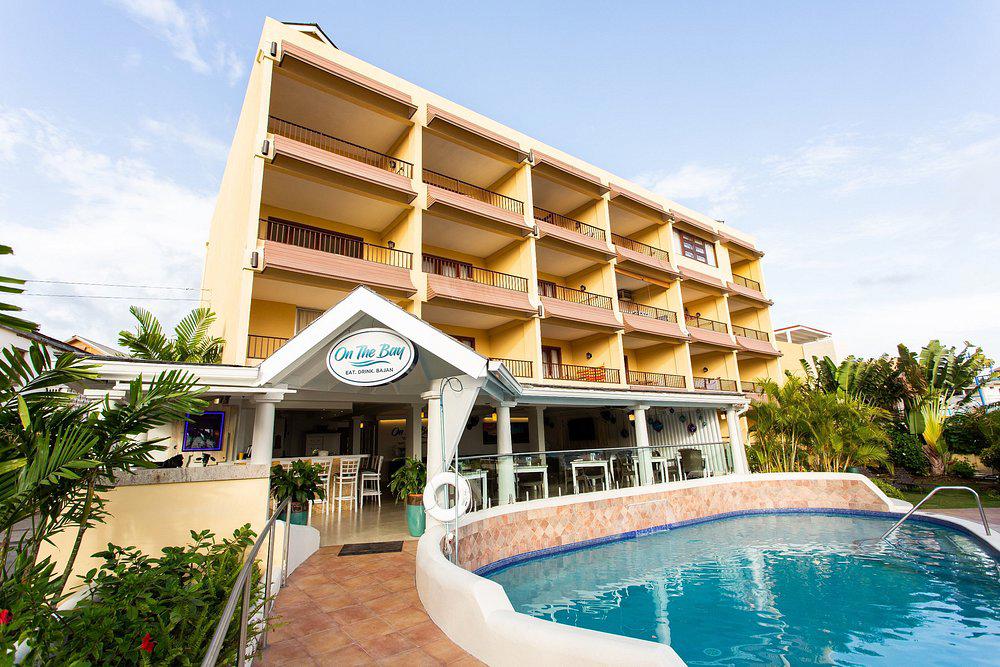 Yellow Bird - Afbeelding 3