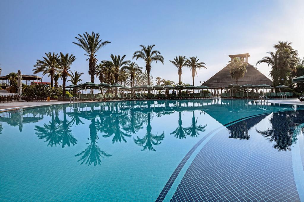 Gypsophila Club Marine - Afbeelding 2