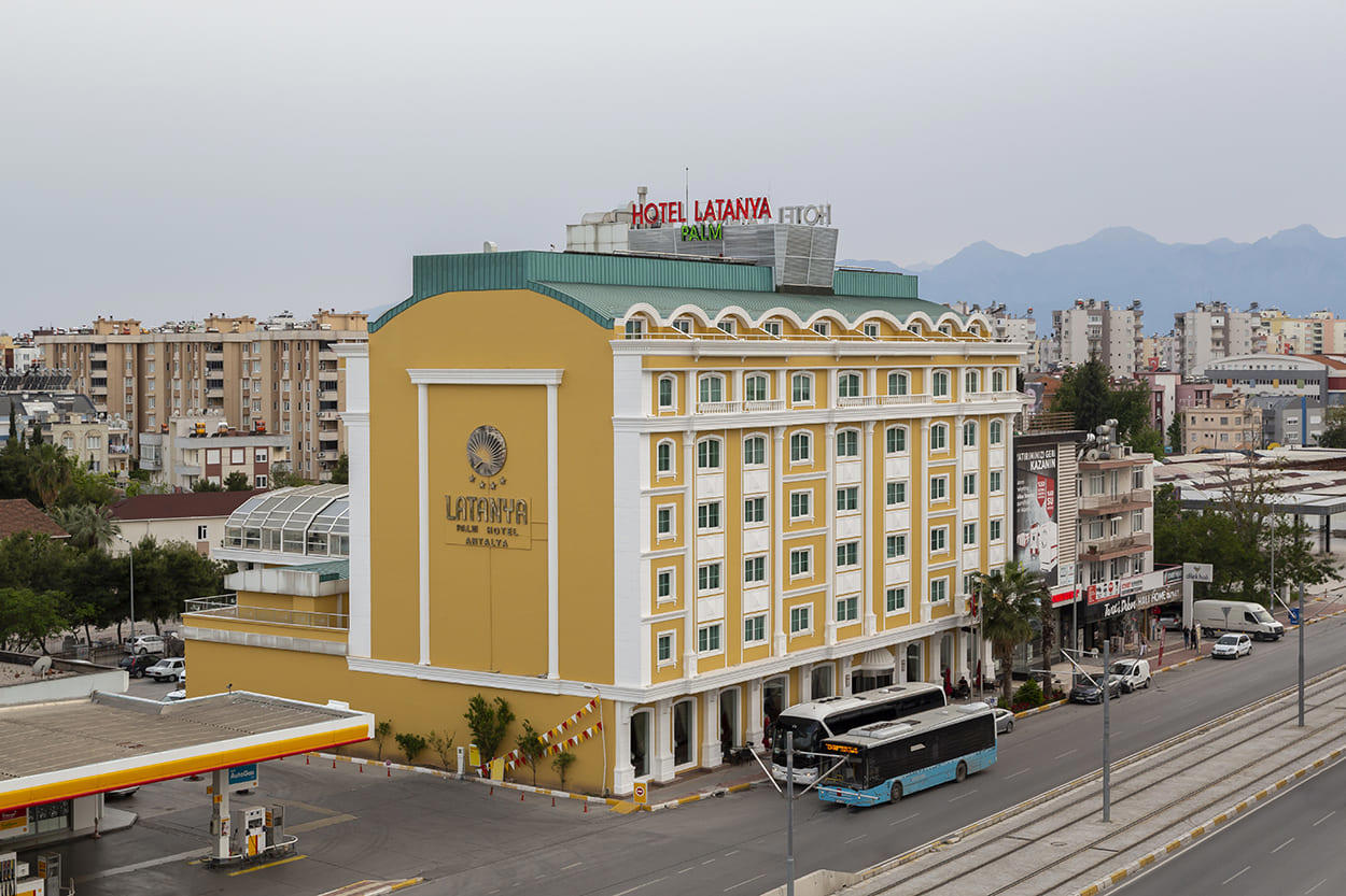 Latanya Palm - Afbeelding 4