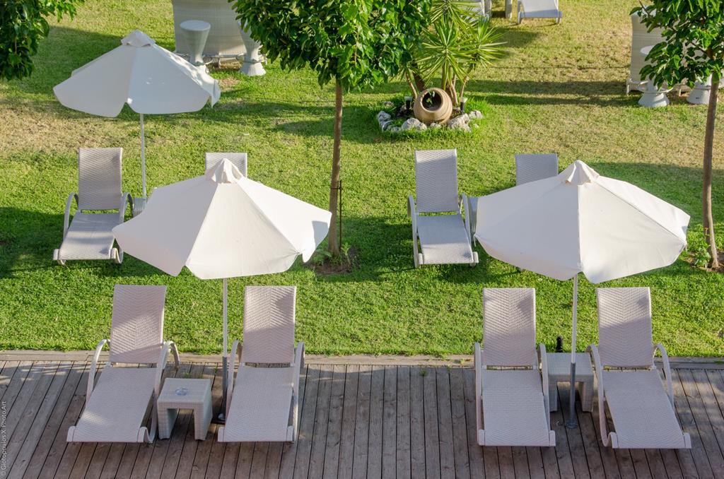 Palmyra - Afbeelding 4