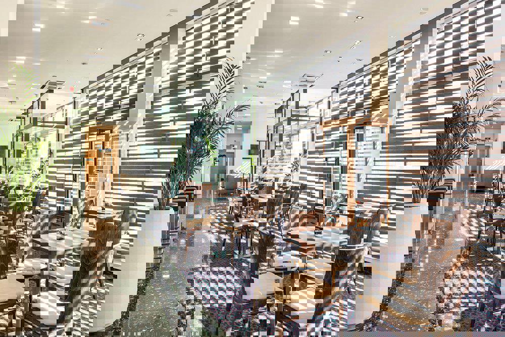 Dalmina - Afbeelding 4