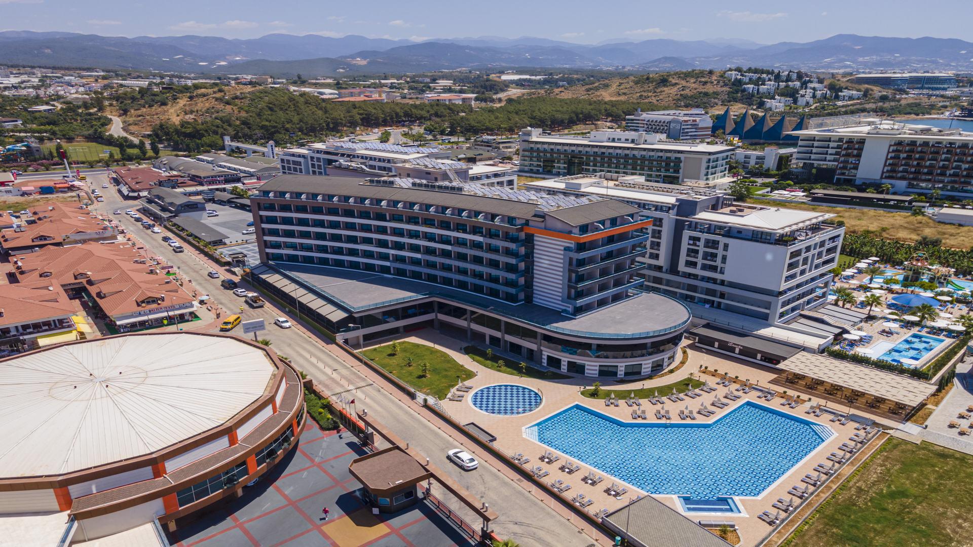 Lonicera Premium - Afbeelding 3