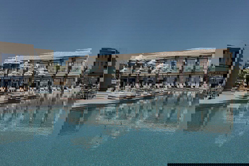 King Jason Zante Exclusive - Afbeelding 3