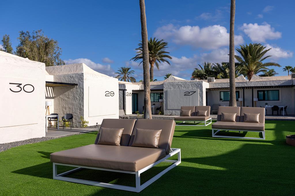 Tajaraste - Afbeelding 2