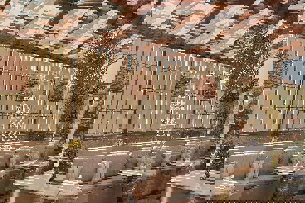 King Jason Zante Exclusive - Afbeelding 2