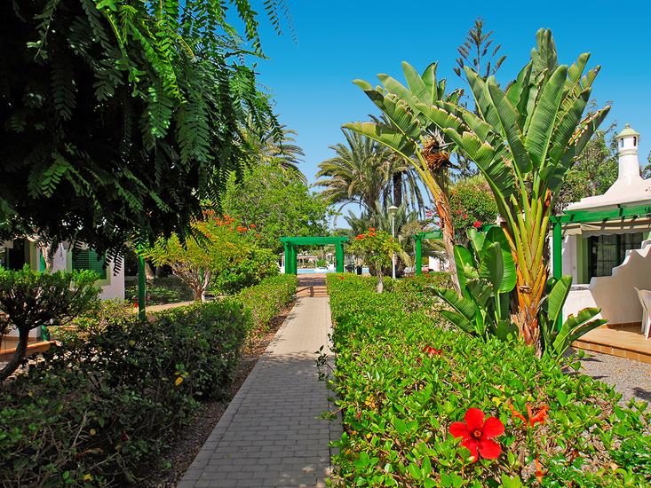 Cordial Sandy Golf - Afbeelding 2