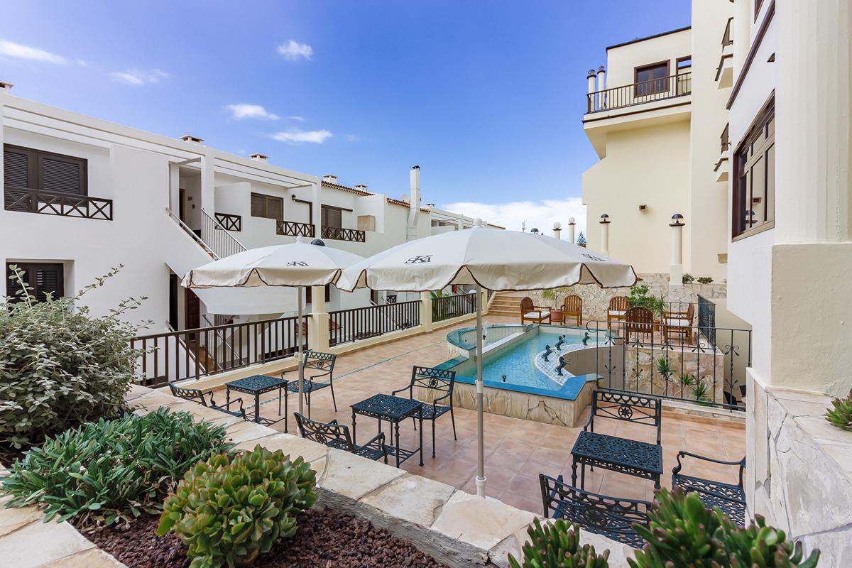 Klayman Olivina - Afbeelding 4