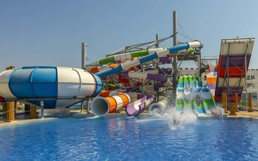 Tofinis - Afbeelding 4