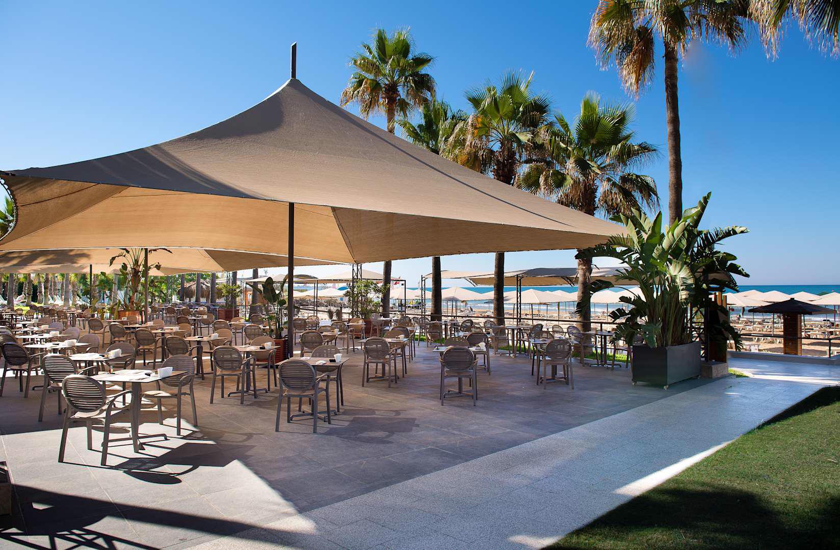 Miramare Queen - Afbeelding 4