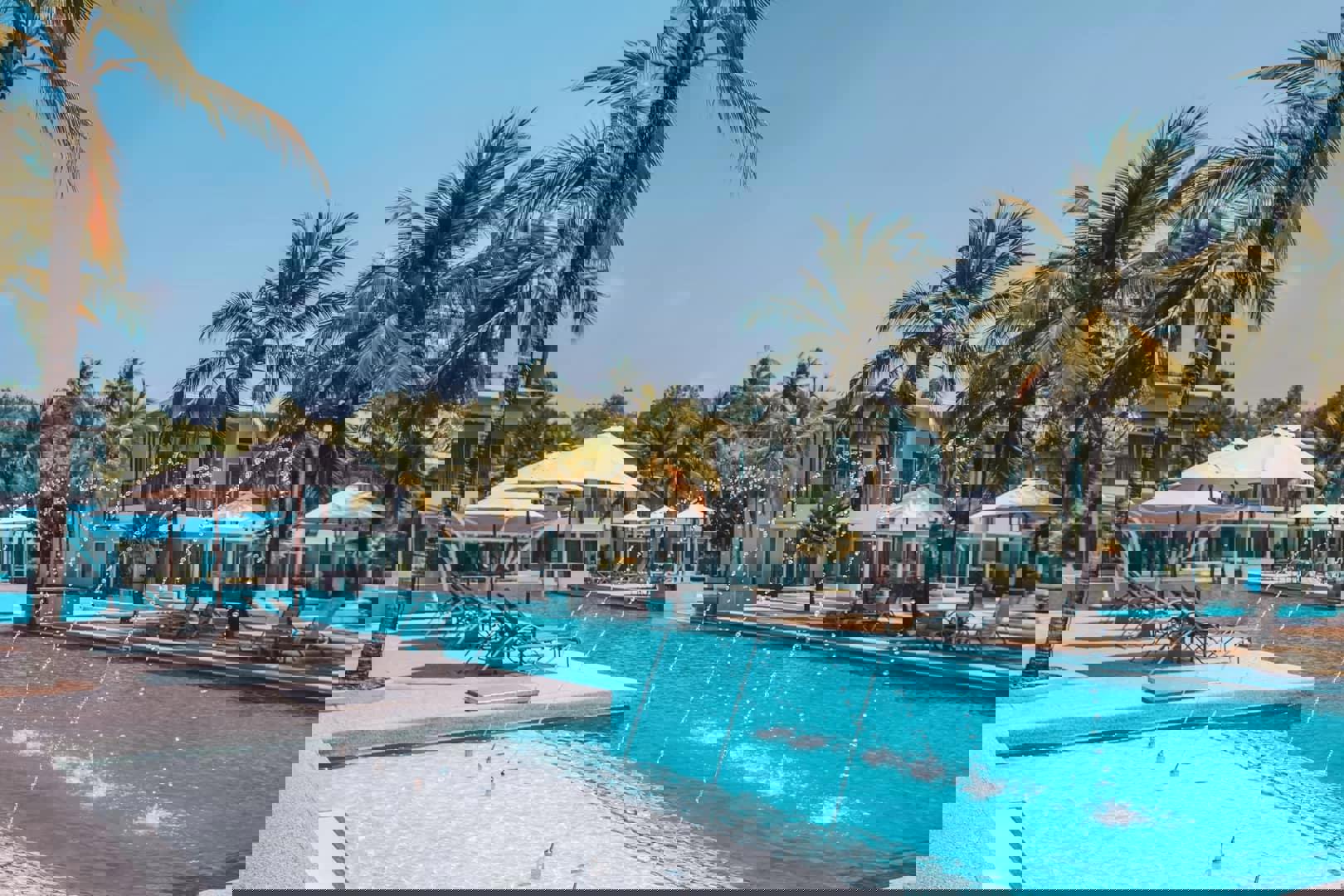 The Waters - Afbeelding 4