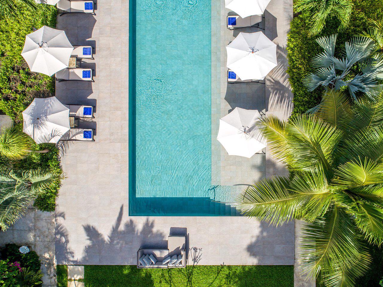 The Sandpiper - Afbeelding 3