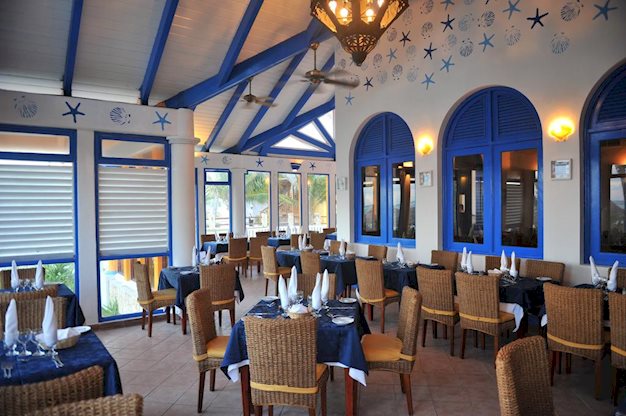 VIK Arena Blanca - Afbeelding 2