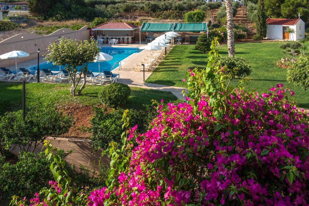 Niko Elen - Afbeelding 2