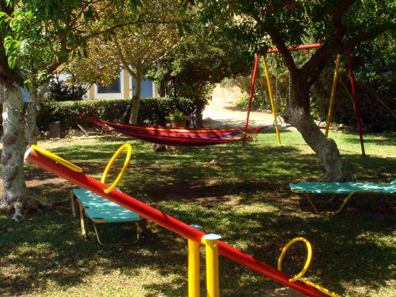 Coral - Afbeelding 3