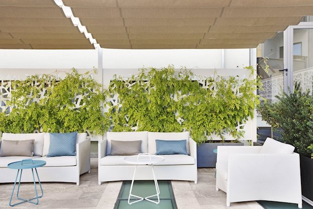 Palladium - Afbeelding 3