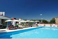 Jasminum - Afbeelding 2