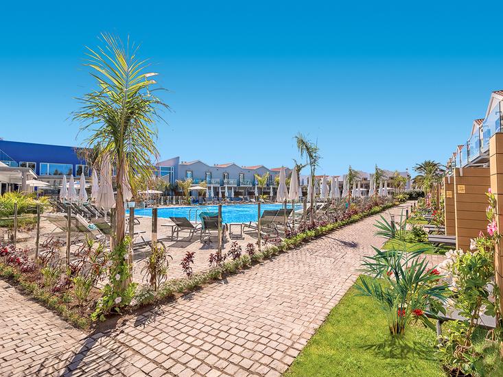 THe Los Calderones Senses - Afbeelding 4