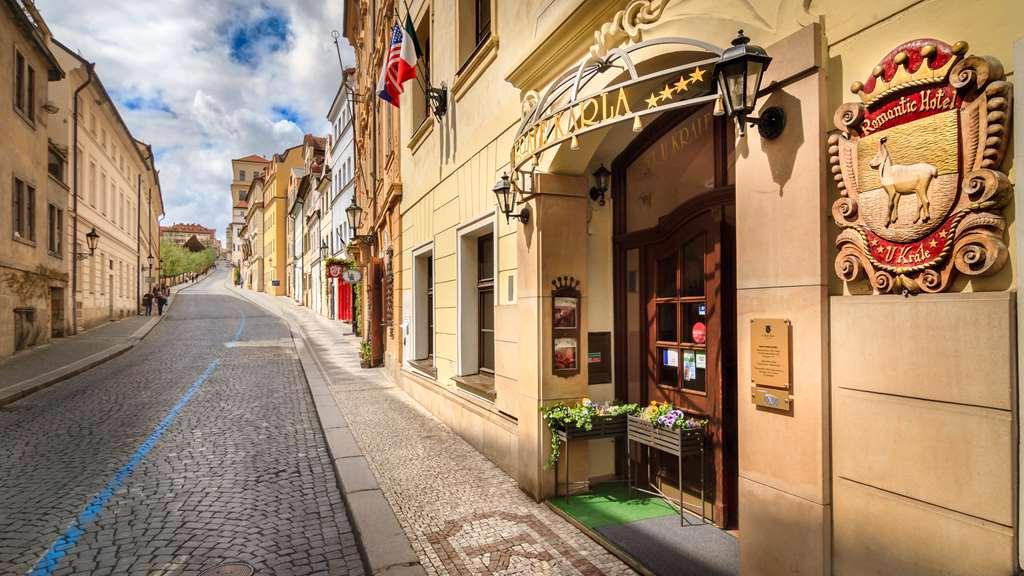 The King Charles - Afbeelding 2