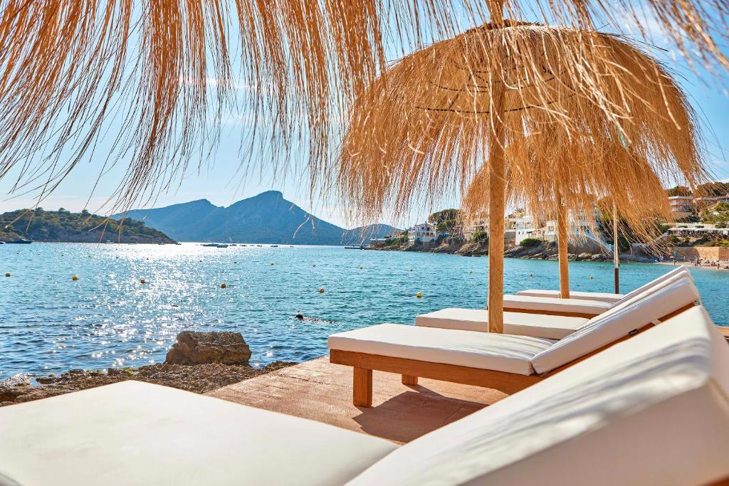 Universal Aquamarin - Afbeelding 3