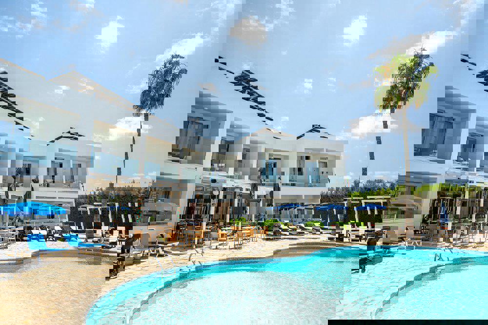 Bellini - Afbeelding 4