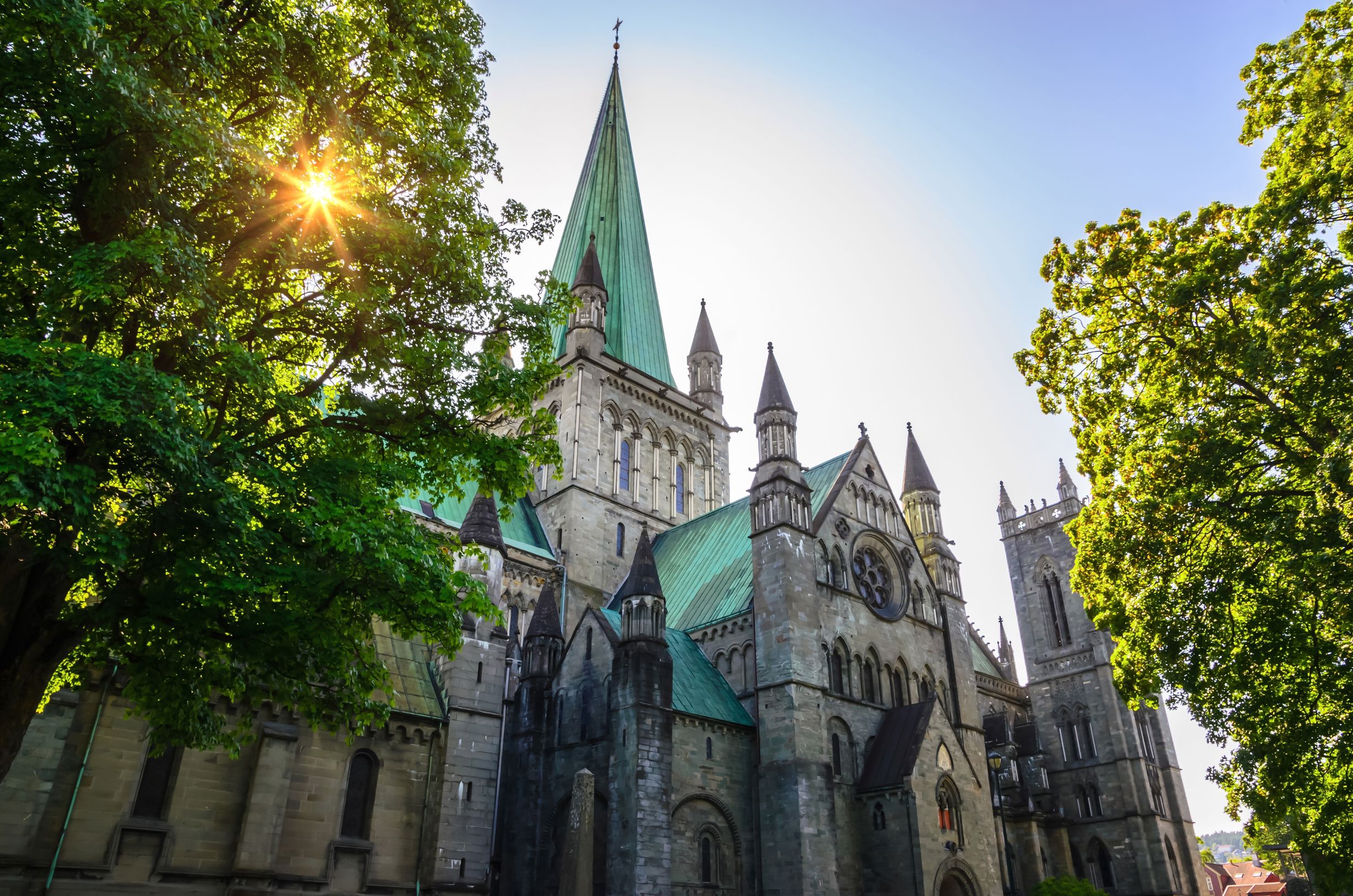 Cruise op zoek naar het Noorderlicht - Afbeelding 2