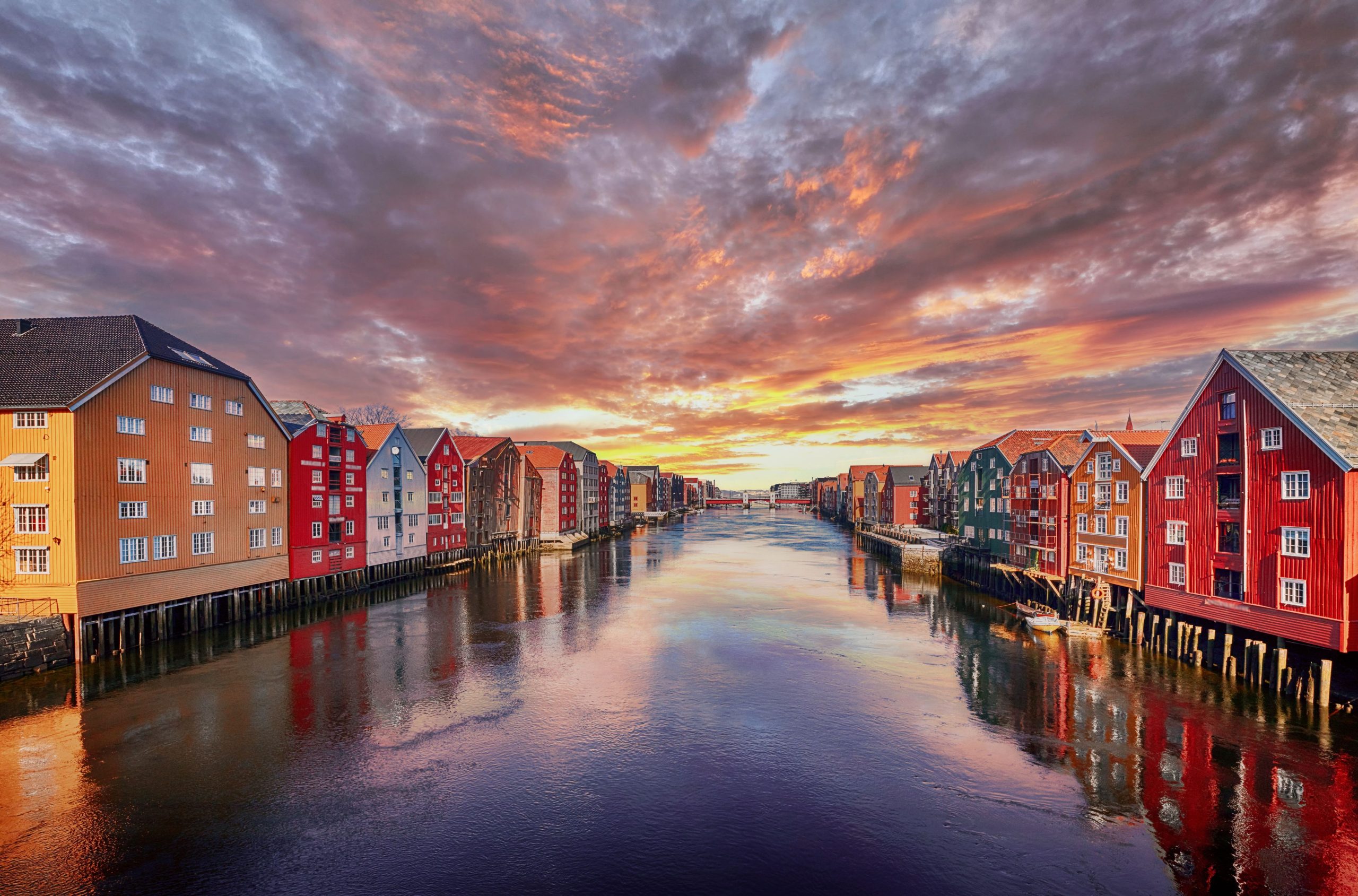 Cruise op zoek naar het Noorderlicht - Afbeelding 3