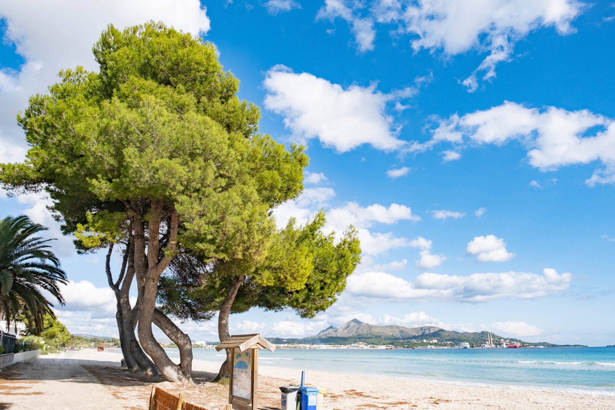 Fly & Go Eix Platja Daurada - Afbeelding 3