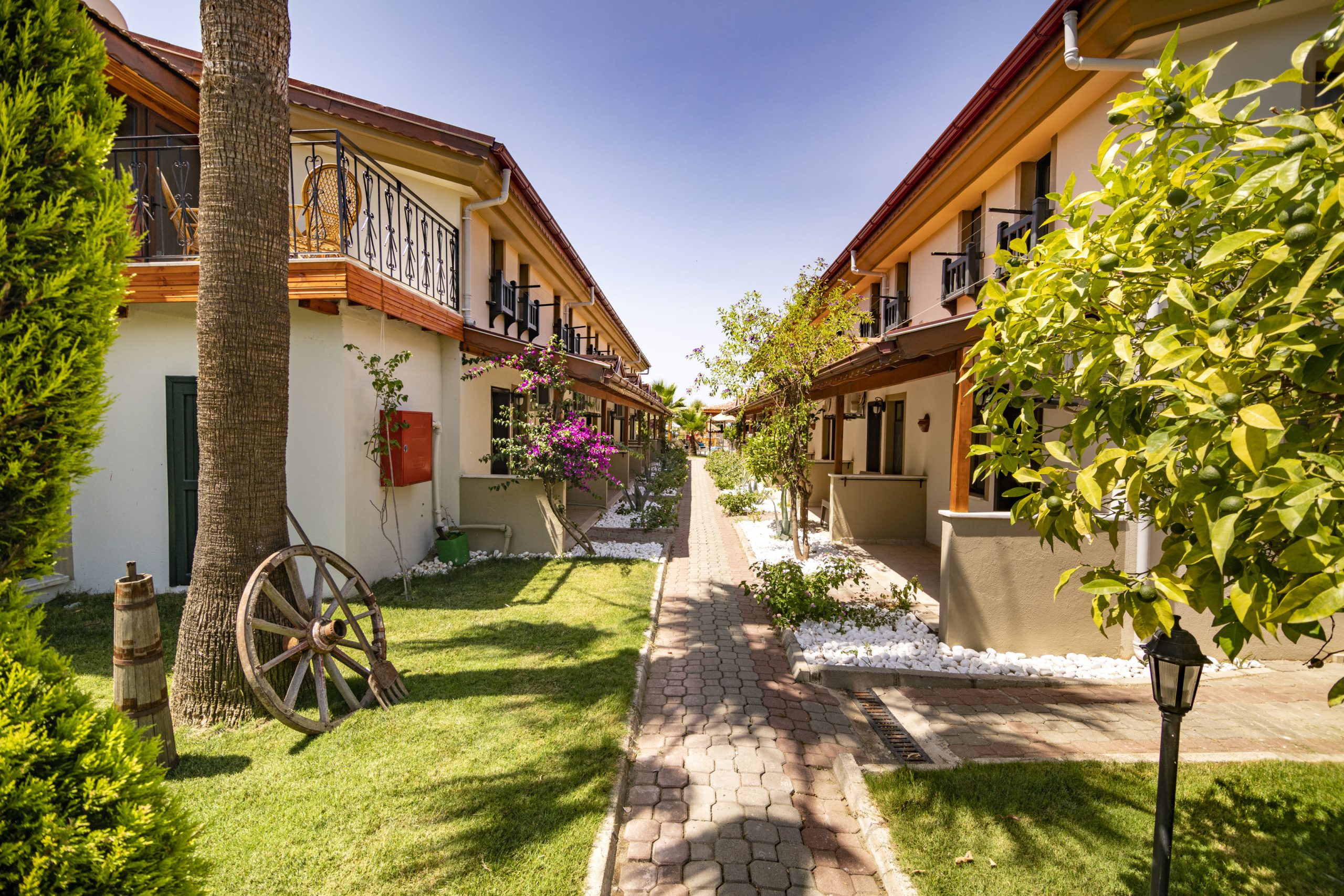 Fly & Go Portakal Hotel - Afbeelding 2