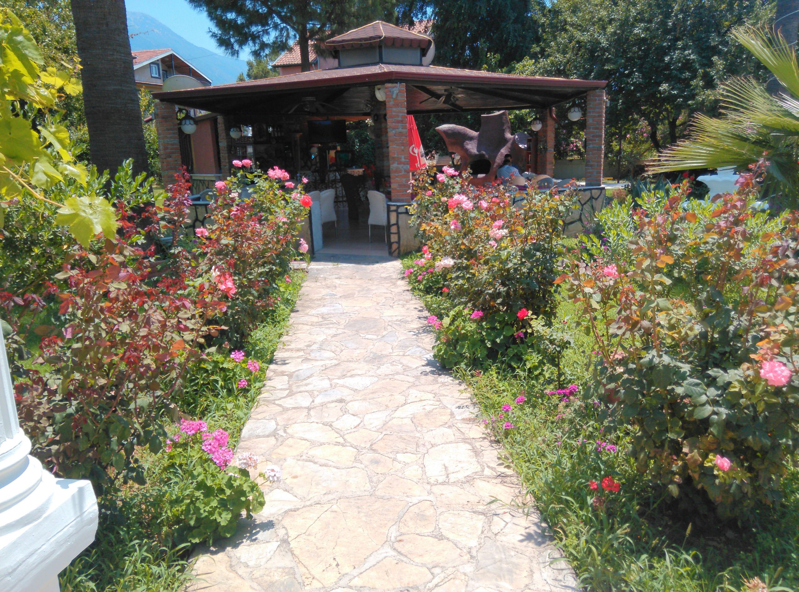 Fly & Go Erkin Aparthotel - Afbeelding 4