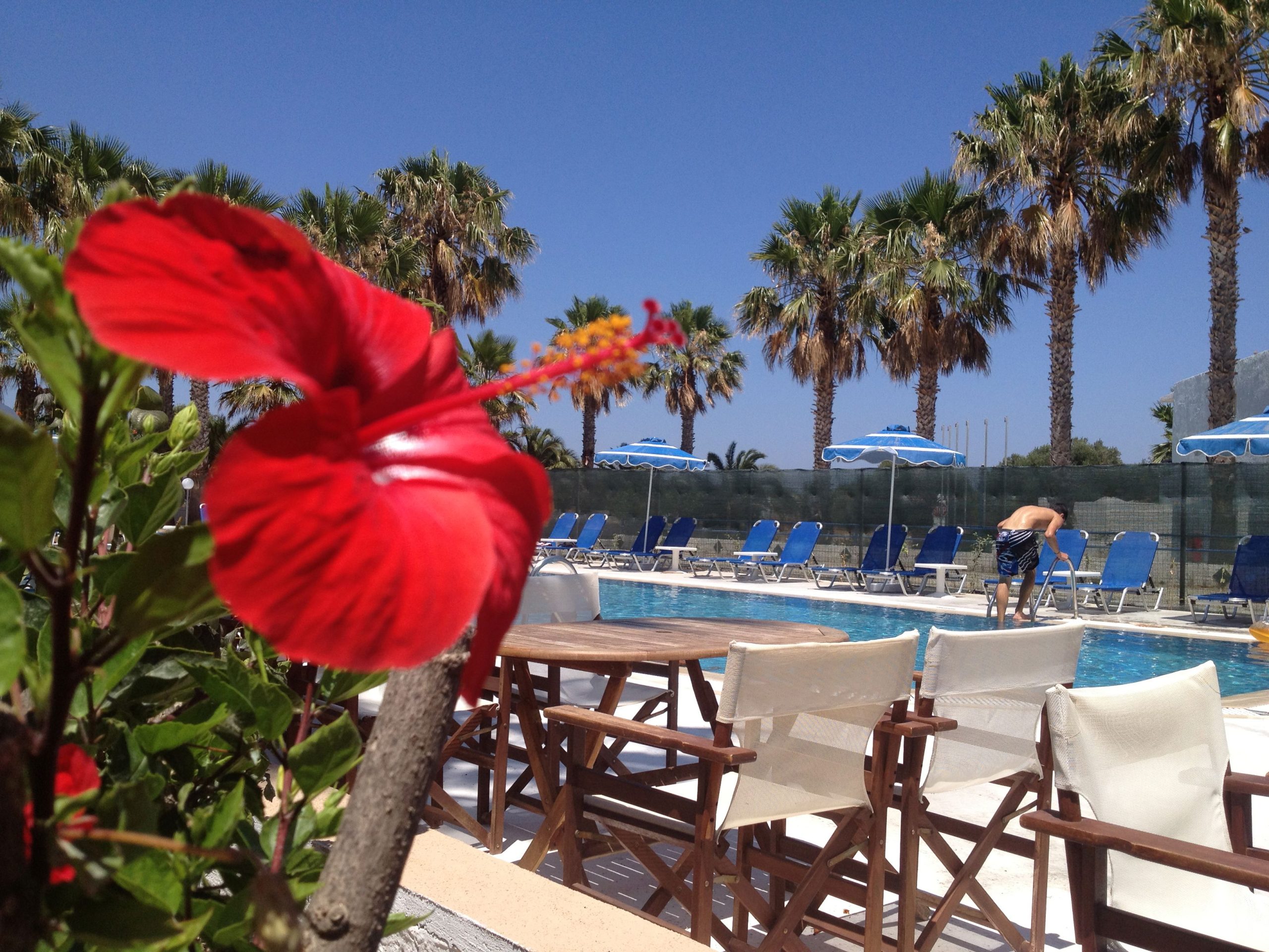 Fly & Go Black Diamond - Afbeelding 2