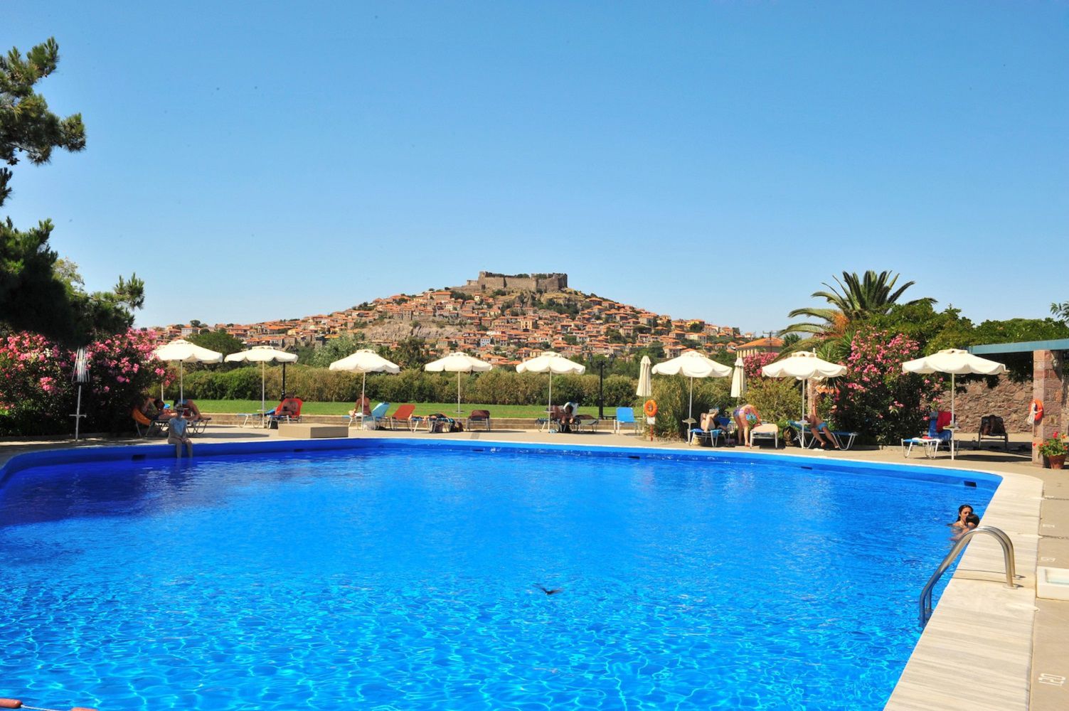 Fly & Go Delfinia - Afbeelding 2