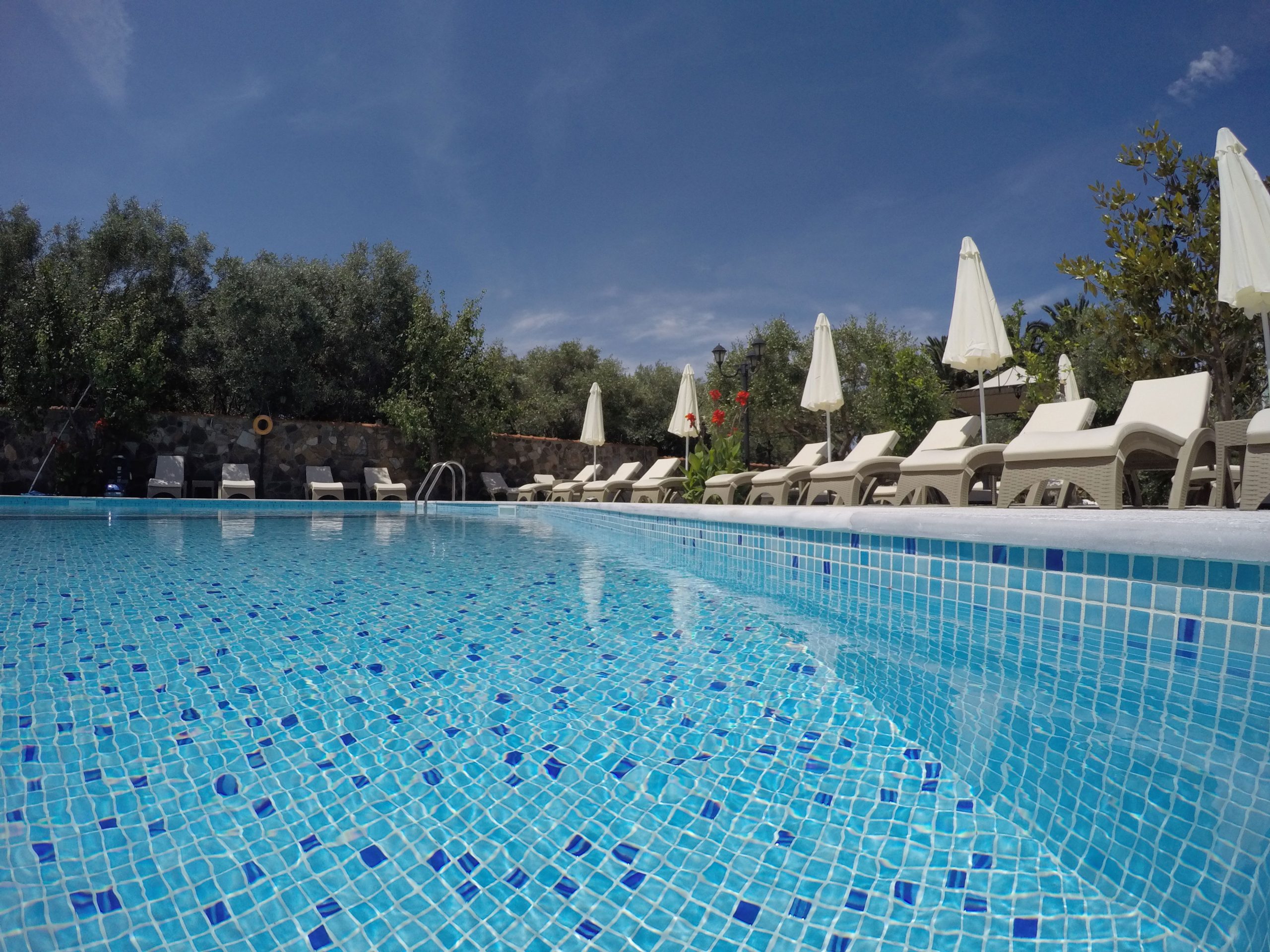 Fly & Go Sunset Hotel Lesbos - Afbeelding 2