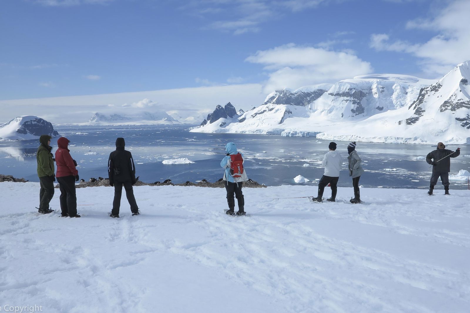 Expeditiecruise Antarctica per m/v Hondius - Afbeelding 3