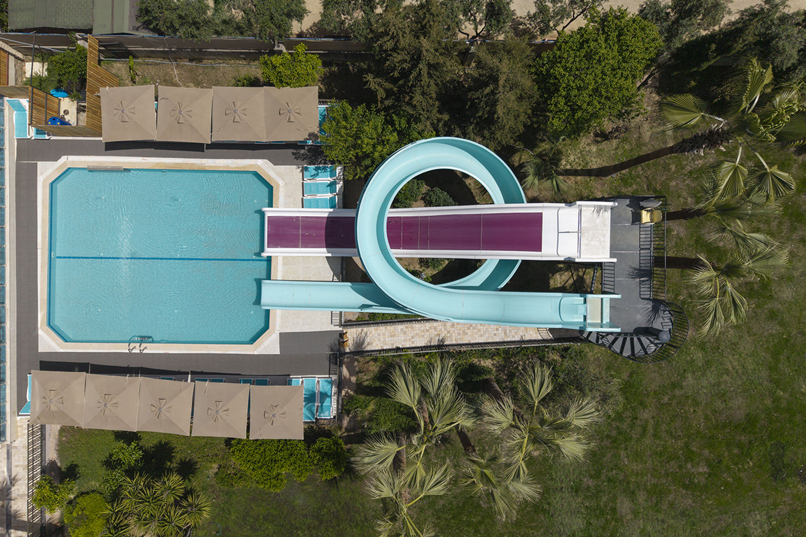 Fly & Go Kaia Coracesium - Afbeelding 2