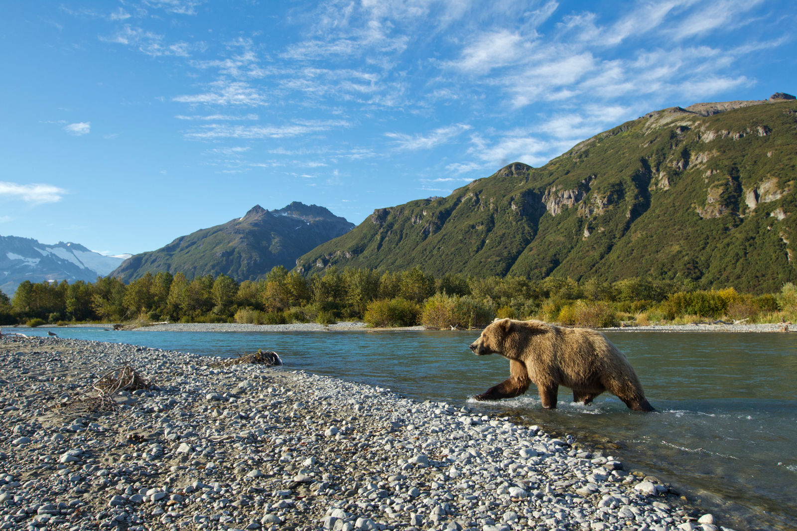 14-daagse Ontdekkingscruise Alaska - Afbeelding 3