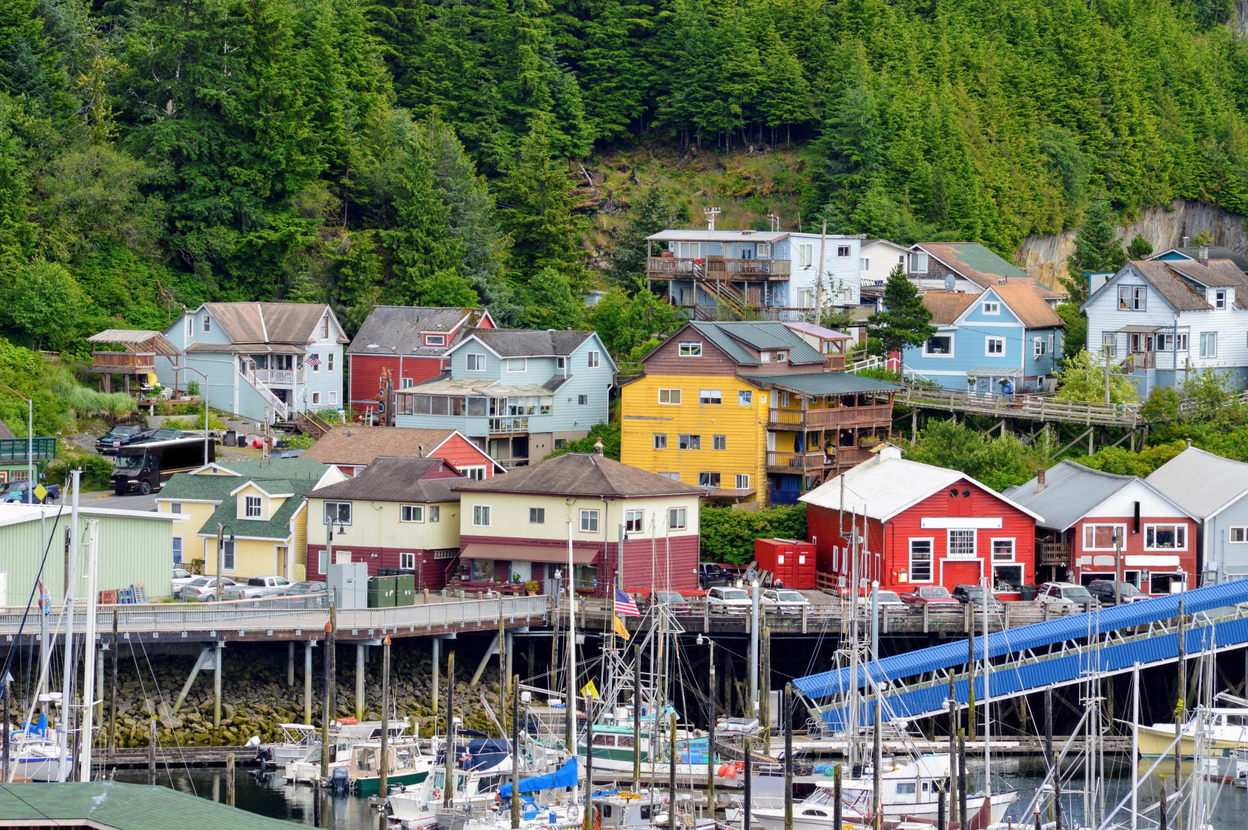 14-daagse Ontdekkingscruise Alaska - Afbeelding 3