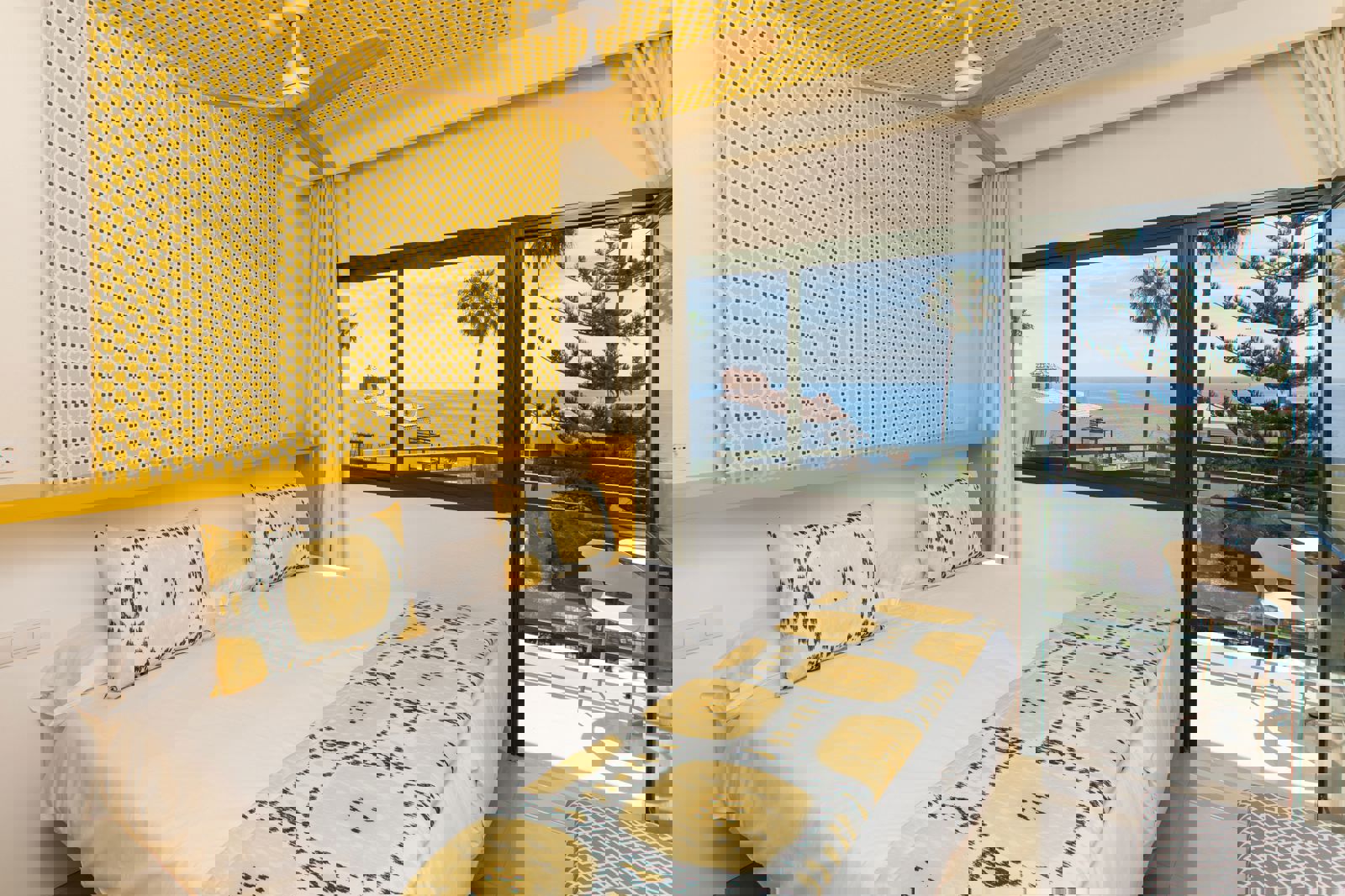 Alsol Africana - Afbeelding 2