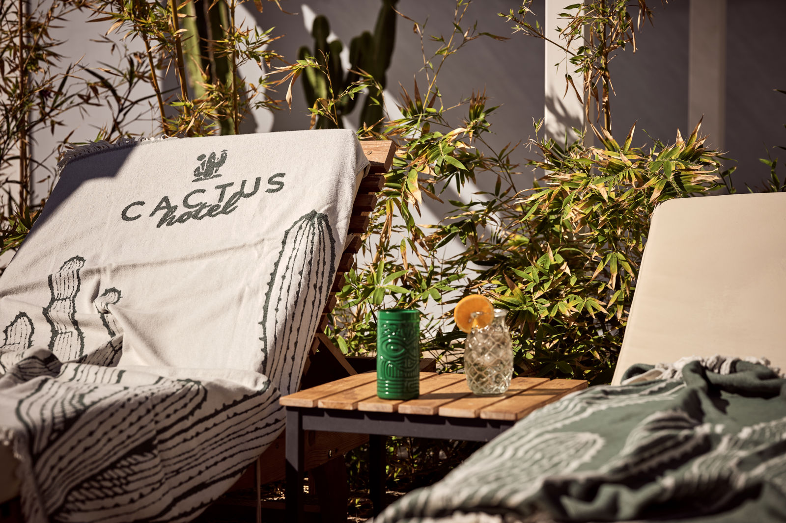 Cactus Hotel - Afbeelding 3