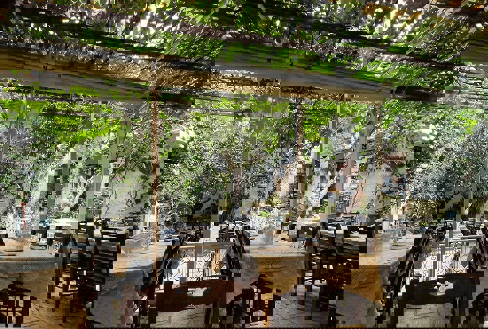 Fly & Go Culinair Kassandra Appartementen - Afbeelding 4