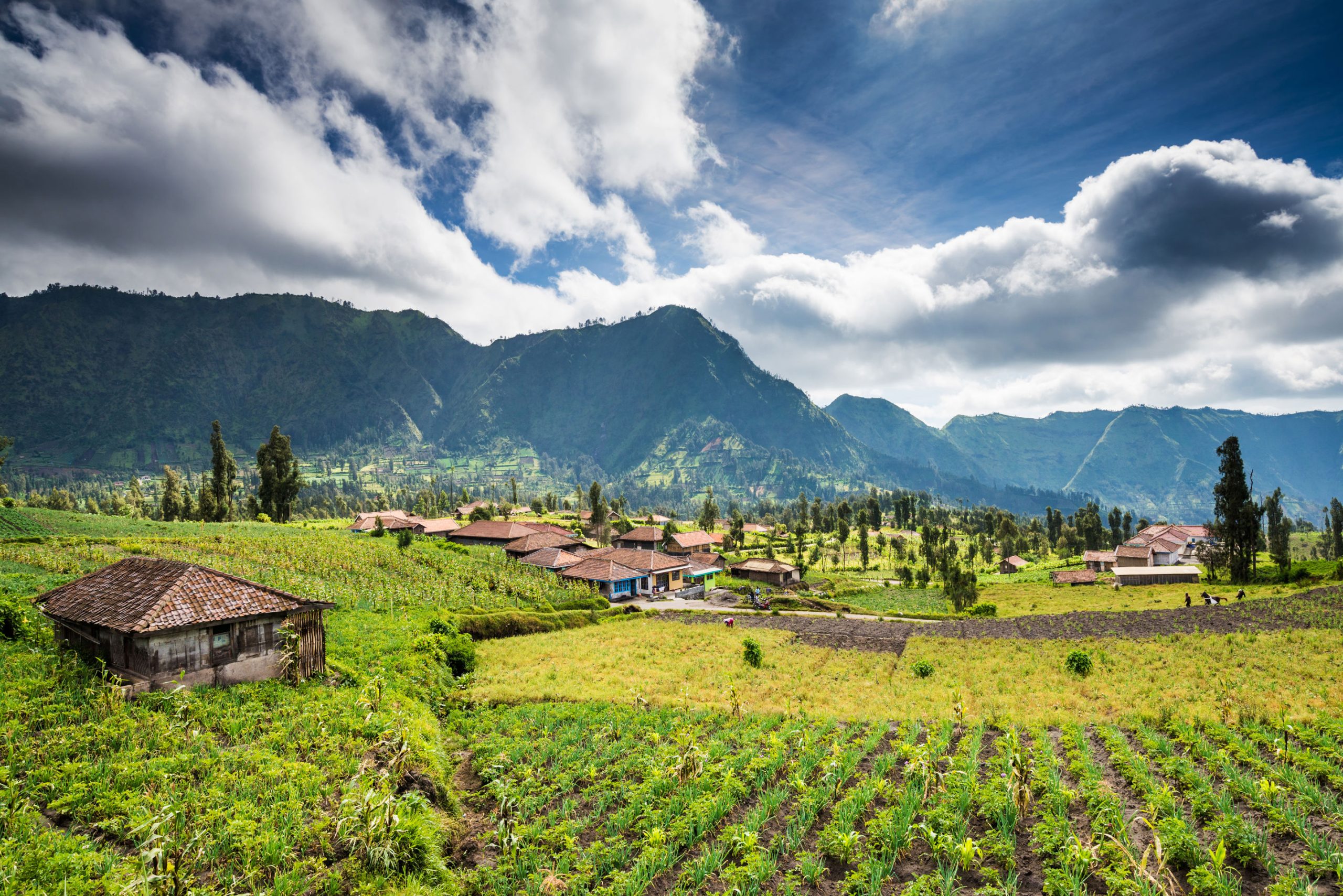 Rondreis Veelzijdig Java & Bali - Afbeelding 4