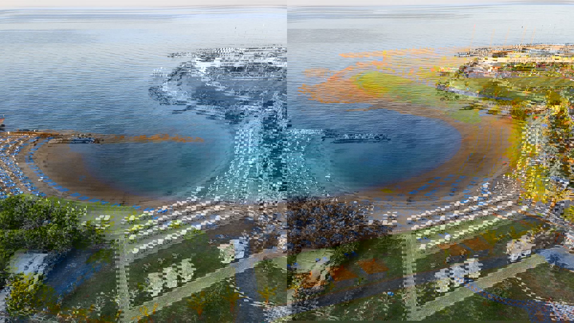 Lonicera Premium - Afbeelding 2