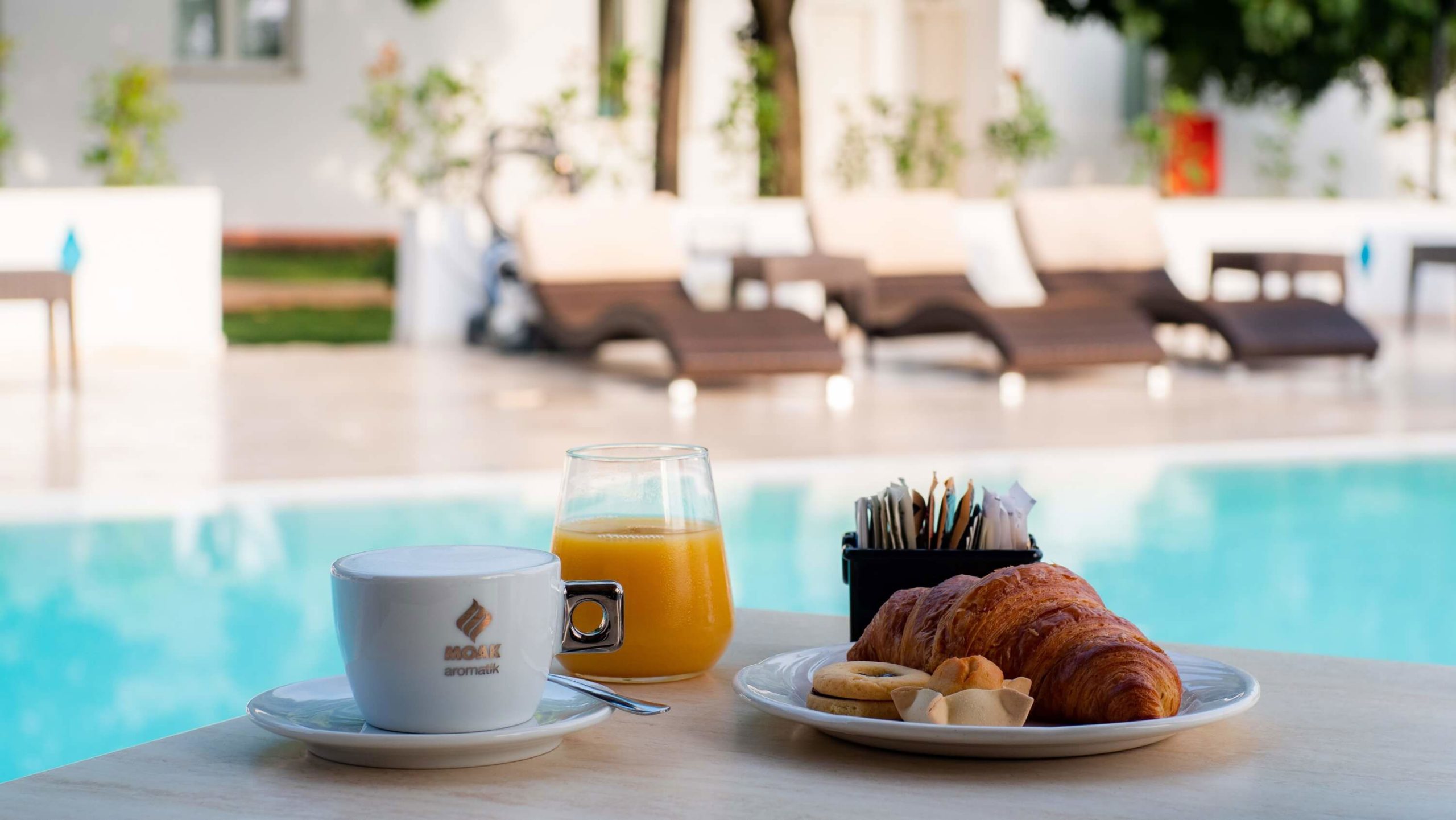 Le Mimose - Afbeelding 3