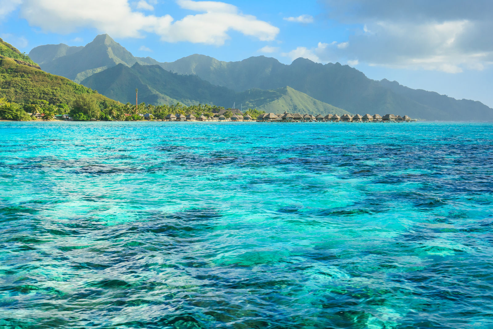 Wereldse cruise van San Francisco naar Italië - Afbeelding 4