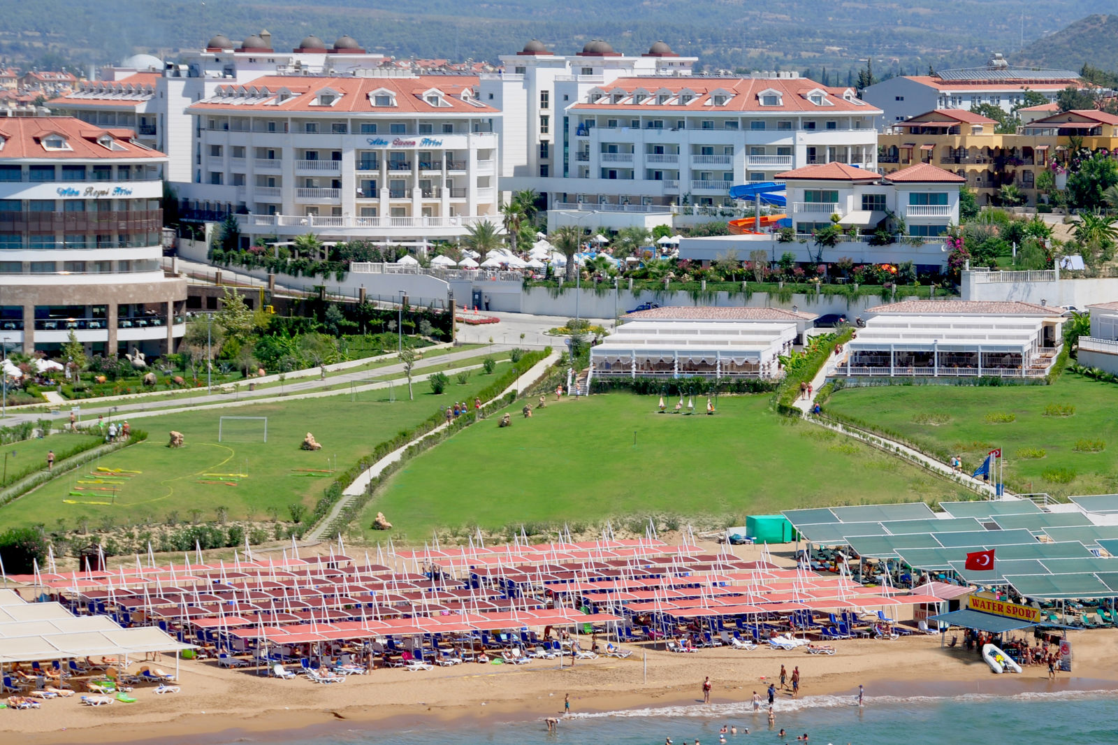 Alba Queen - Afbeelding 2