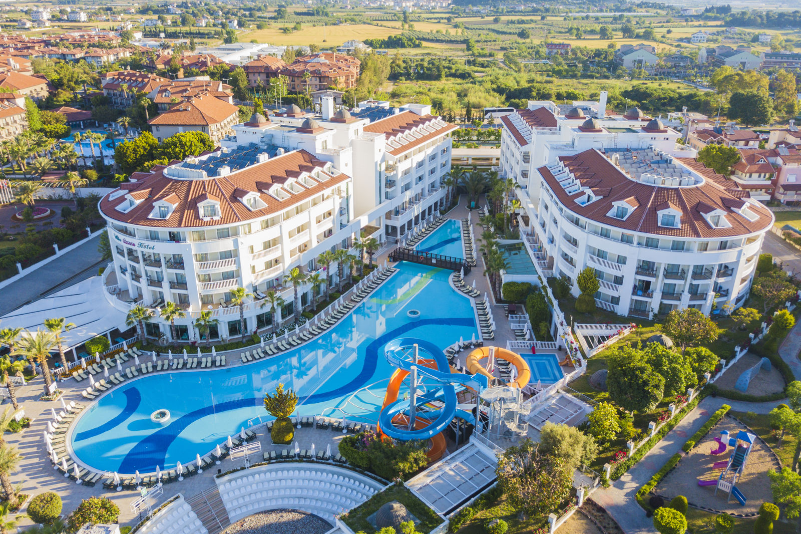 Alba Queen - Afbeelding 4