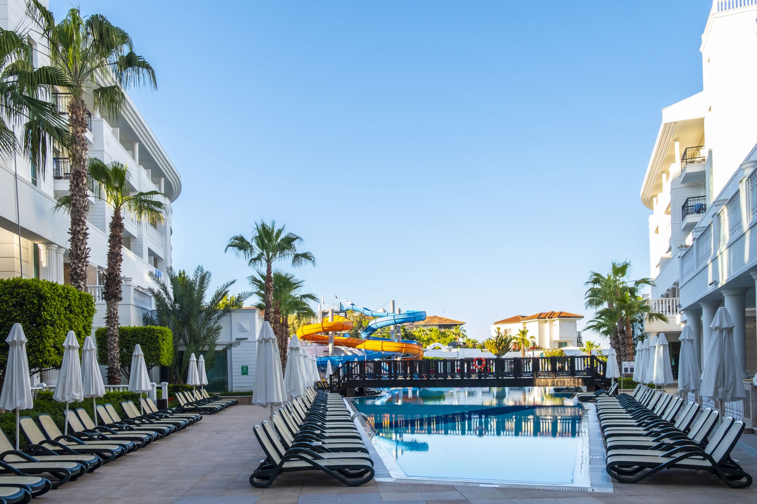 Alba Queen - Afbeelding 4