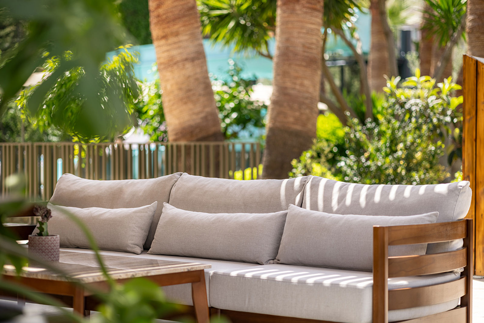 Kaia Coracesium - Afbeelding 2