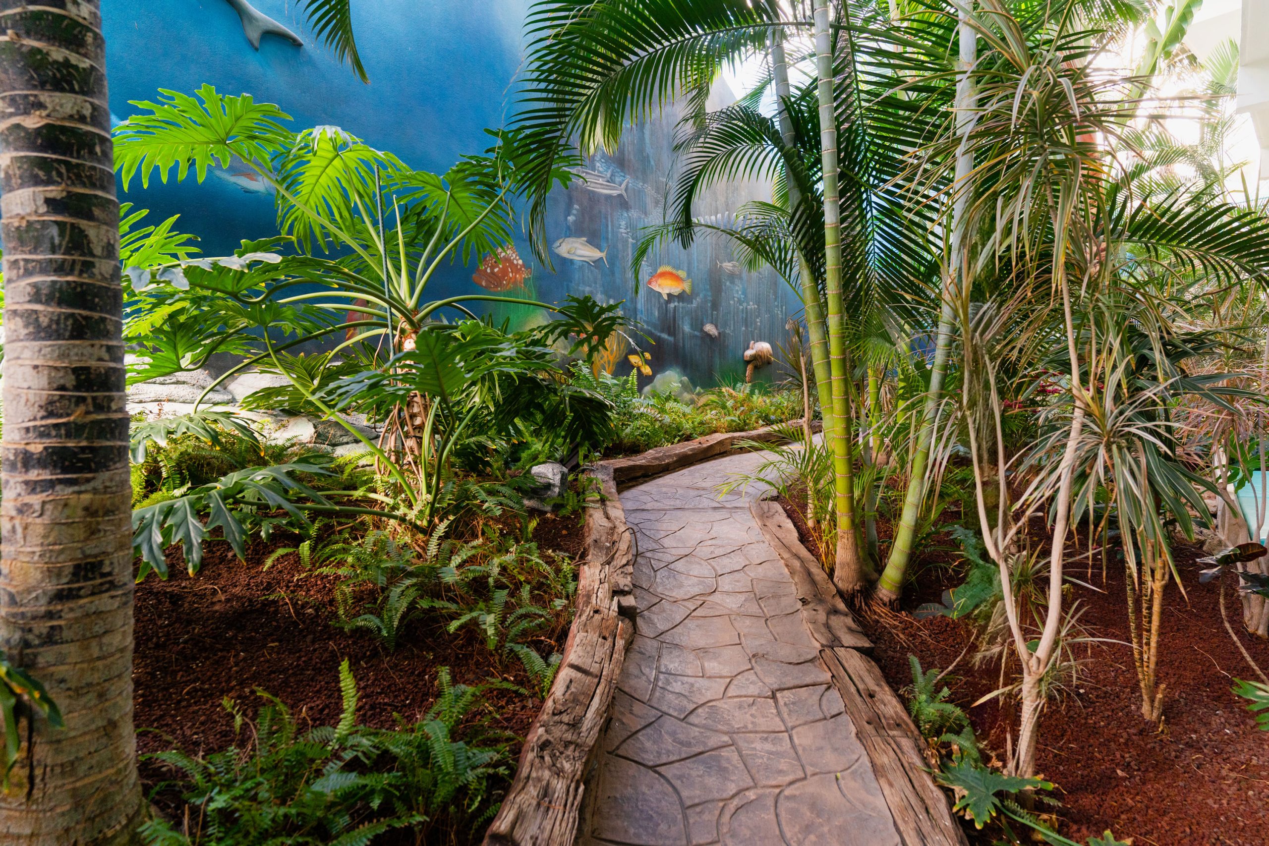 Hovima La Pinta Beachfront Family Hotel - Afbeelding 4