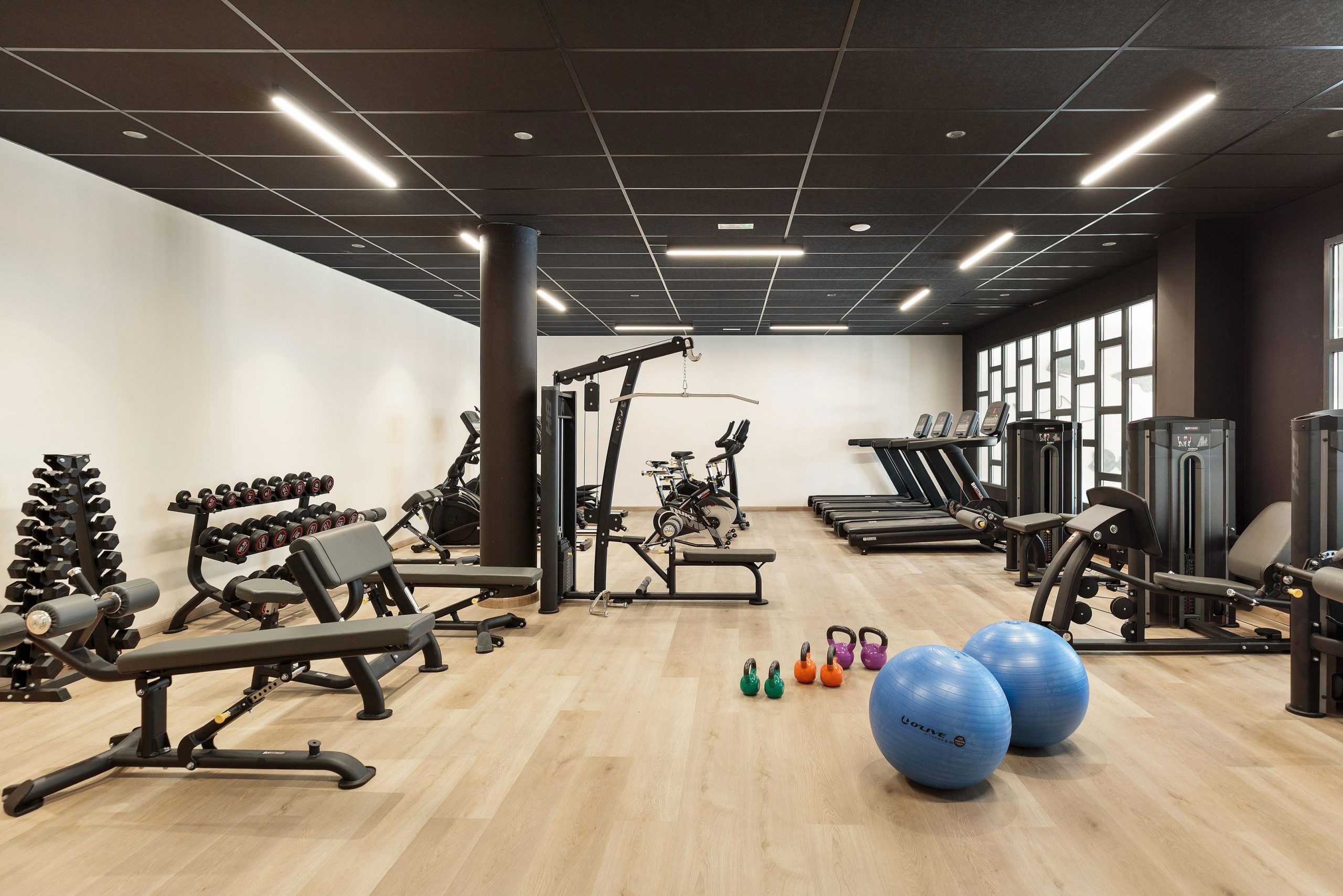 Best Oasis Tropical - Afbeelding 2